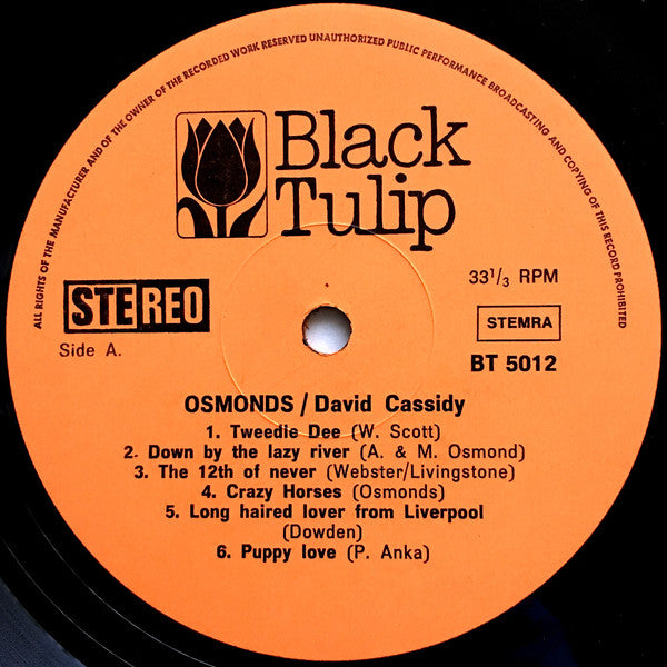 Unknown Artist : Great Hits Made Famous By The Osmond Brothers, David Cassidy (LP, Comp)