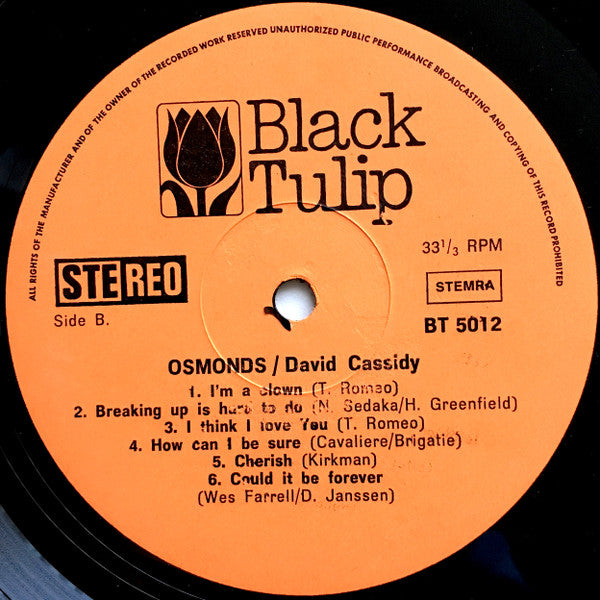 Unknown Artist : Great Hits Made Famous By The Osmond Brothers, David Cassidy (LP, Comp)