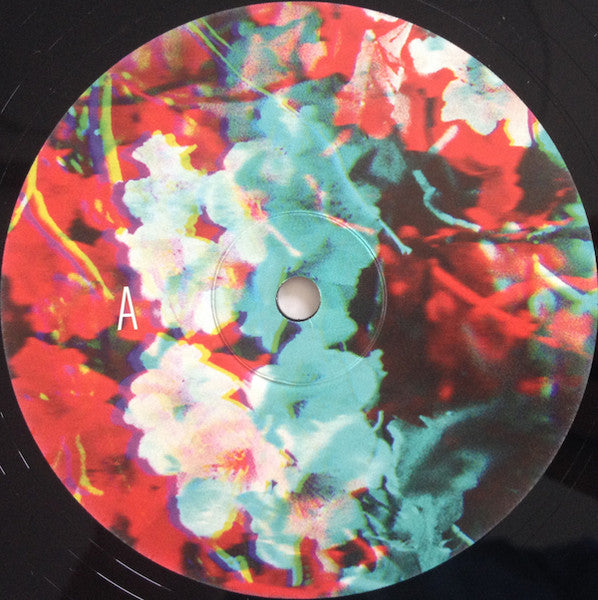Ben Howard (2) : I Forget Where We Were (2xLP, Album, Ltd)