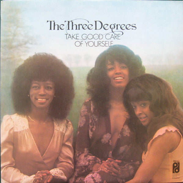 Three Degrees, The : Take Good Care Of Yourself (LP,Album)