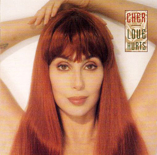 Cher - Love Hurts (CD, Album) - De Platen Aap – Vinylwinkel in Brielle & online webshop voor muziekliefhebbers