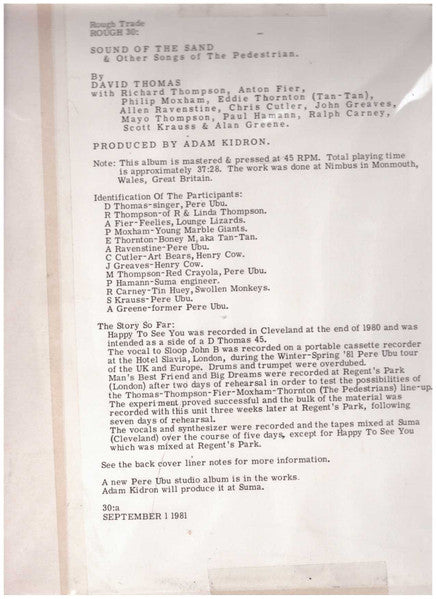 David Thomas & The Pedestrians* : The Sound Of The Sand And Other Songs Of The Pedestrian (LP, Album)