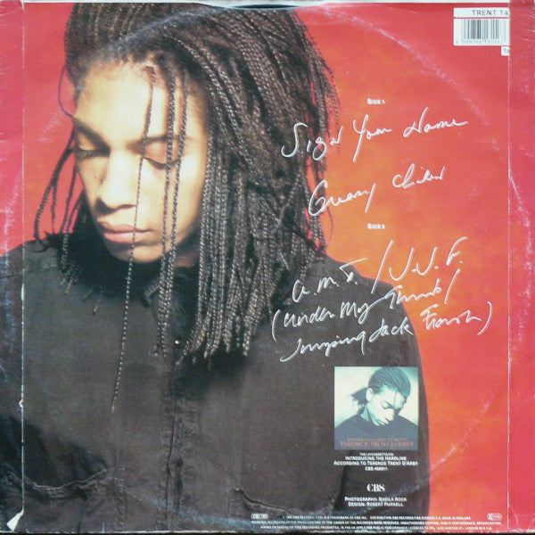Terence Trent D'Arby - Sign Your Name (12") - De Platen Aap – Vinylwinkel in Brielle & online webshop voor muziekliefhebbers