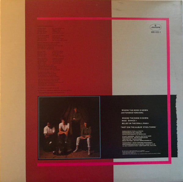 Big Country : Where The Rose Is Sown (Extended Remix) (12",45 RPM,Single,Limited Edition)