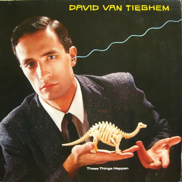 David Van Tieghem : These Things Happen (LP, Album)
