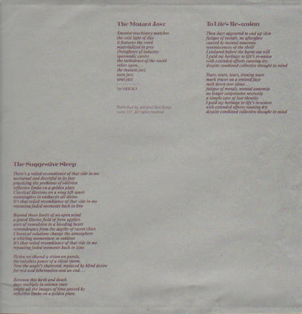 Mecano (2) : Autoportrait (LP, Album)