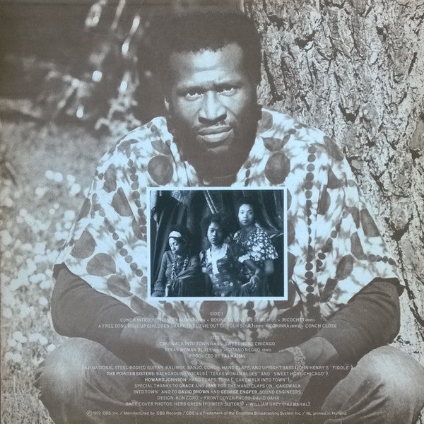 Taj Mahal : Recycling The Blues & Other Related Stuff (LP, Album)